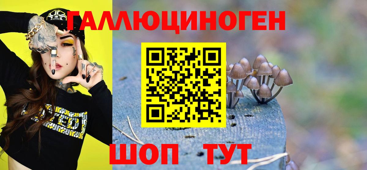 Псилоцибиновые грибы GOLDEN TEACHER Биробиджан