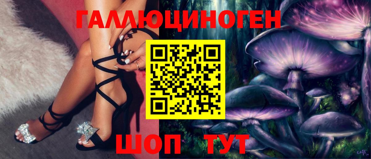 Галлюциногенные грибы Cubensis  Вход с VPN  Биробиджан 